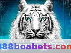888boa VIP: Benefícios Exclusivos e Recompensas Premium 3 Imagem ilustrativa